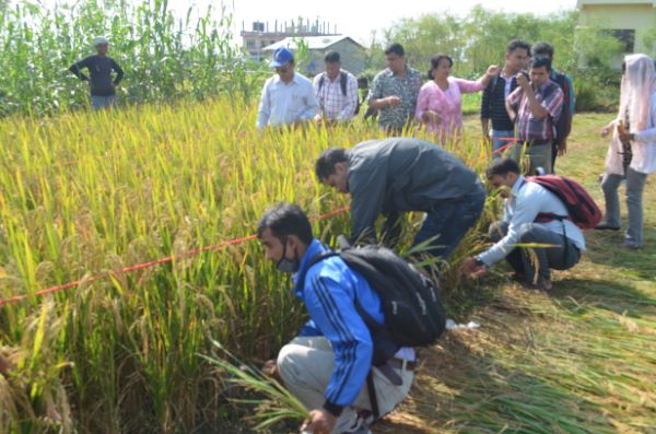 Crop Cutting Training