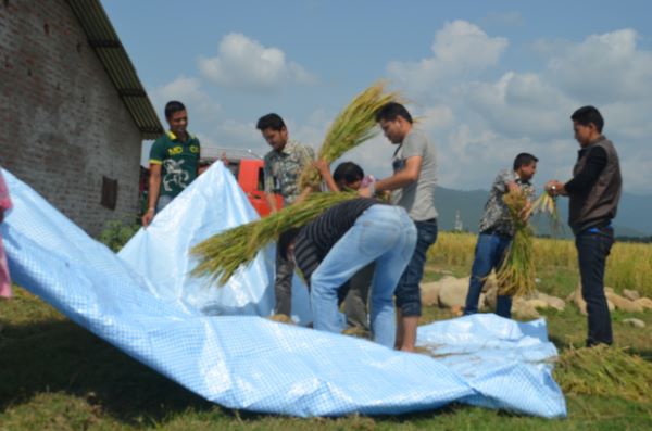 Crop Cutting Training