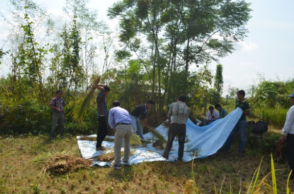 Crop Cutting Training